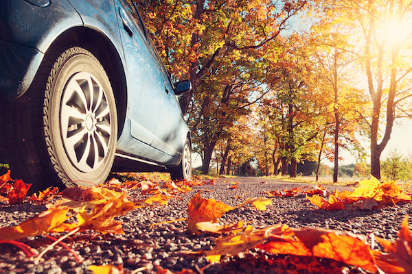 Fall Car Maintenance in Denver, CO