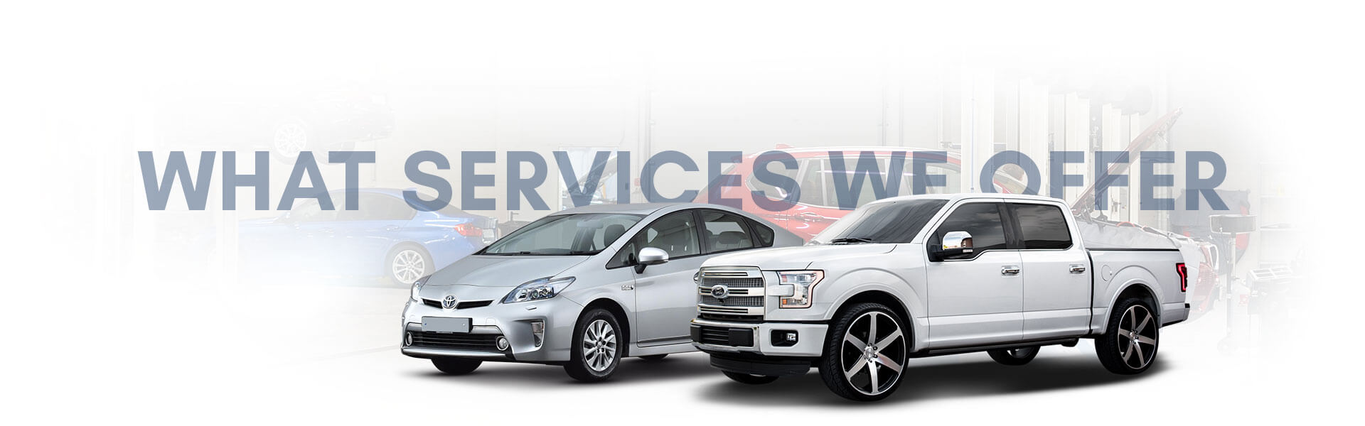 What Services We Offer